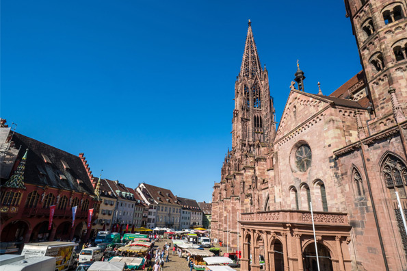 Münstermarkt: Blick auf den Markt - Copyright FWTM-Bender