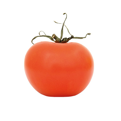 tomate-saisonkalender-muenstermarkt-freiburg